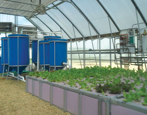 Grower’s Supply Introduces Aquaponics Systems Image